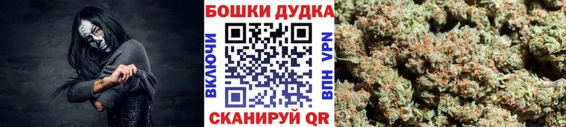 Канабис ГИДРОПОН  гидра tor  Реутов 